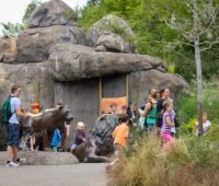 Biggest Zoos in the World